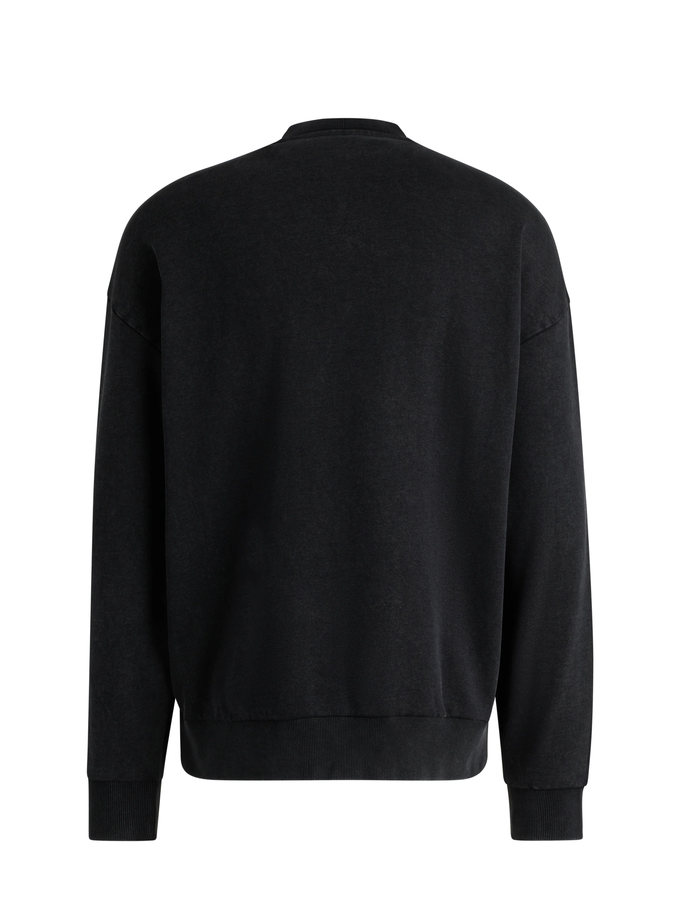 Visa Cash App Racing Bulls Washed Pullover