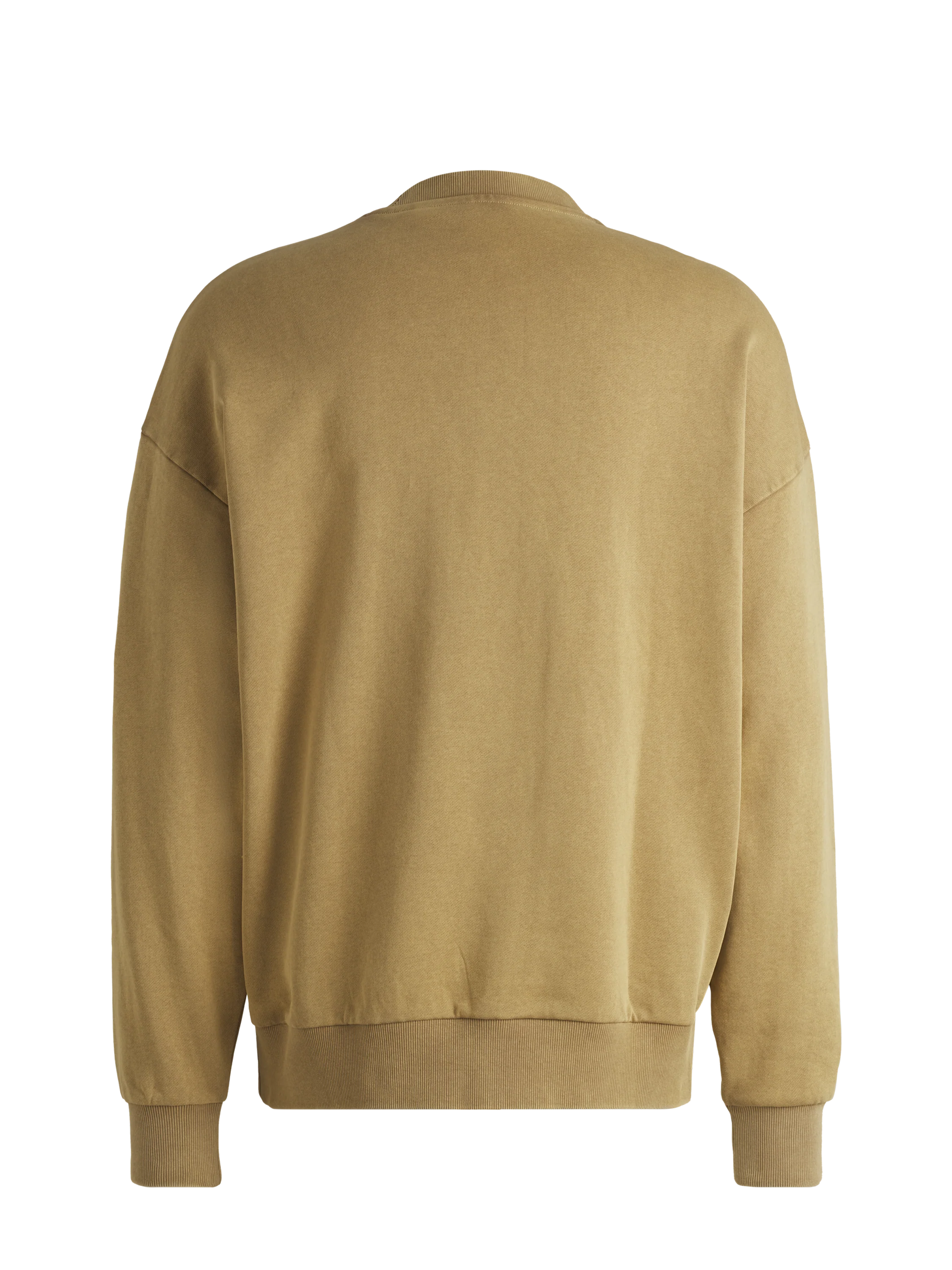 Visa Cash App Racing Bulls Washed Pullover