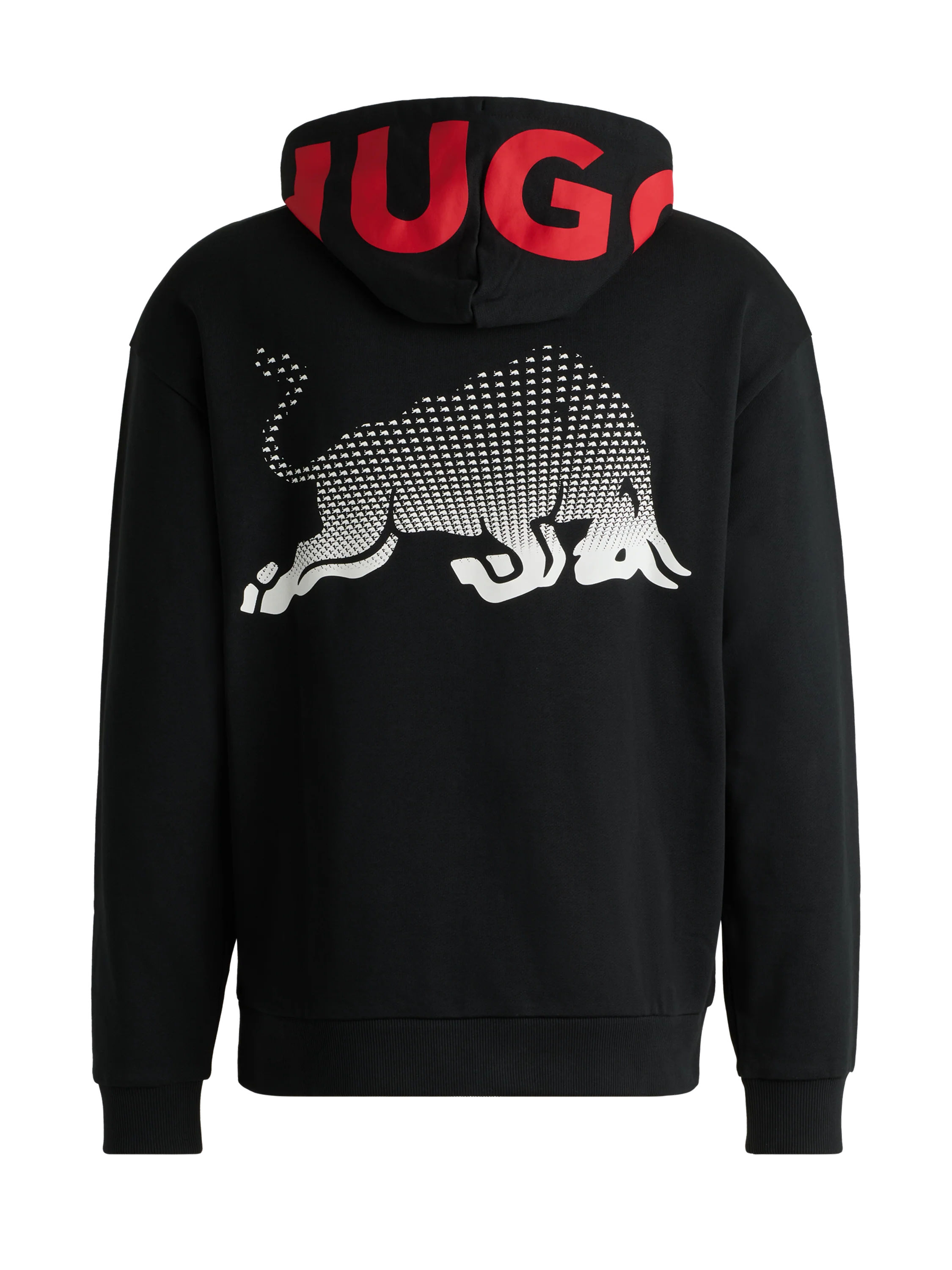Visa Cash App Racing Bulls Blur Hoodie
