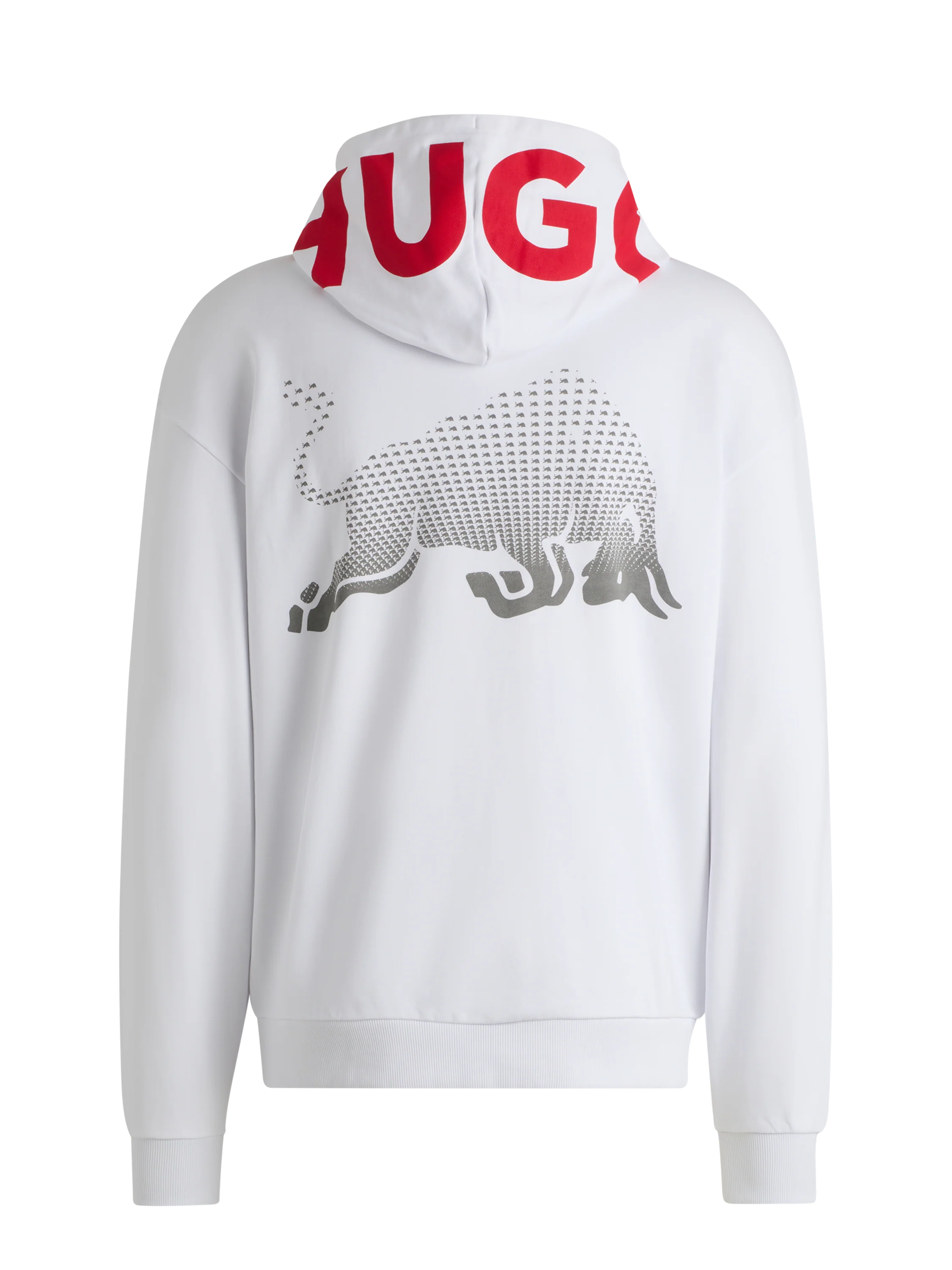 Visa Cash App Racing Bulls Blur Hoodie