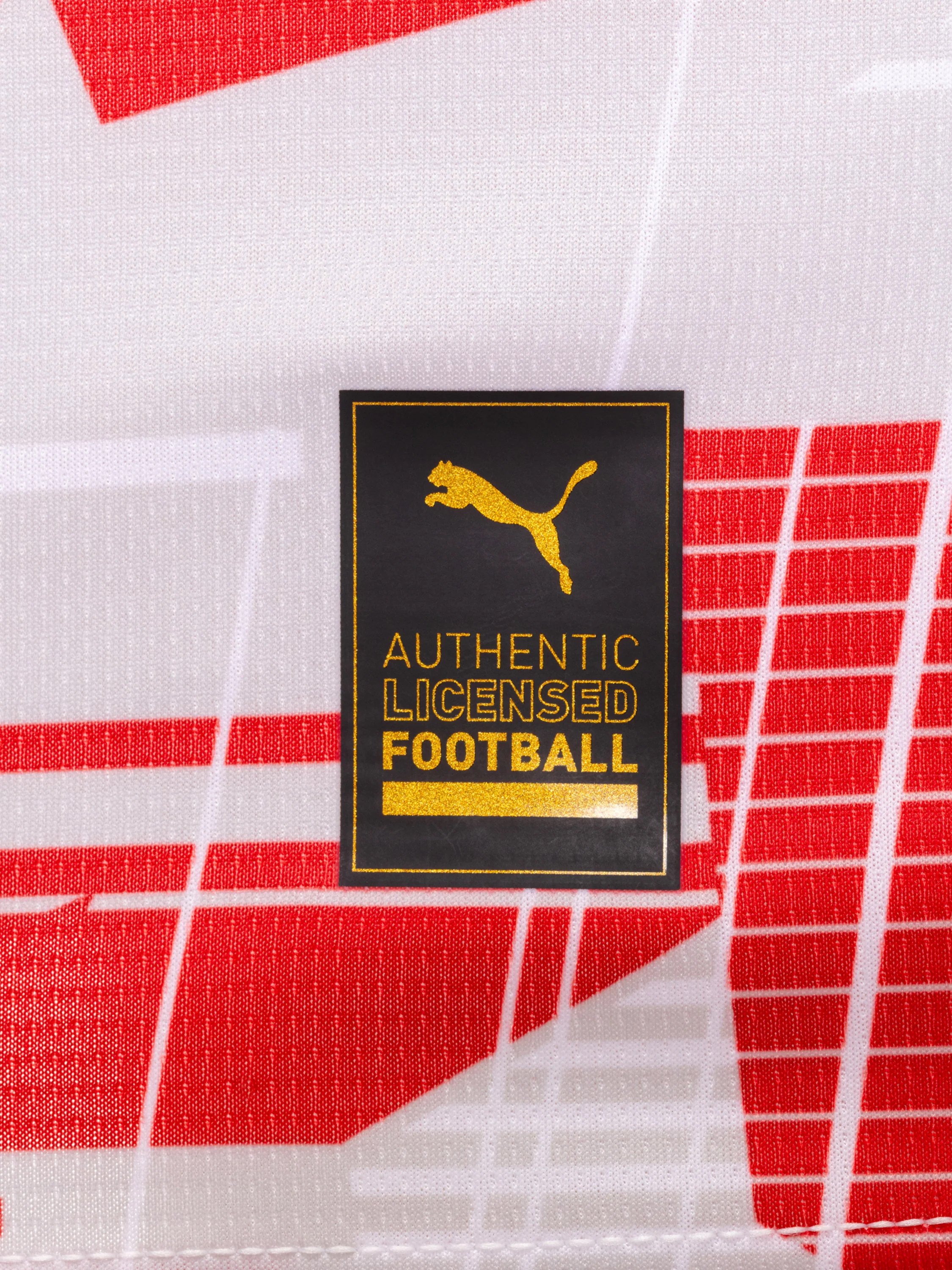 FC Red Bull Salzburg Puma 24/25 Home Jersey